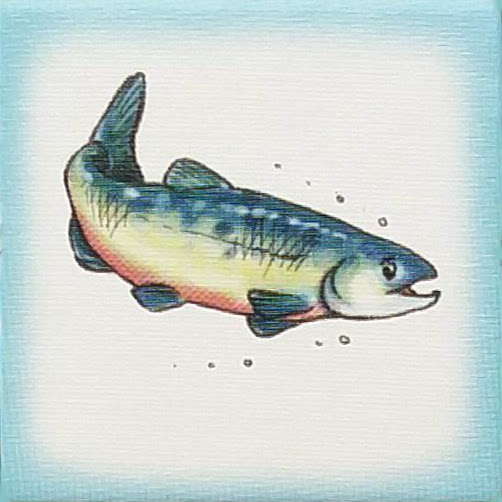 Salmon tile